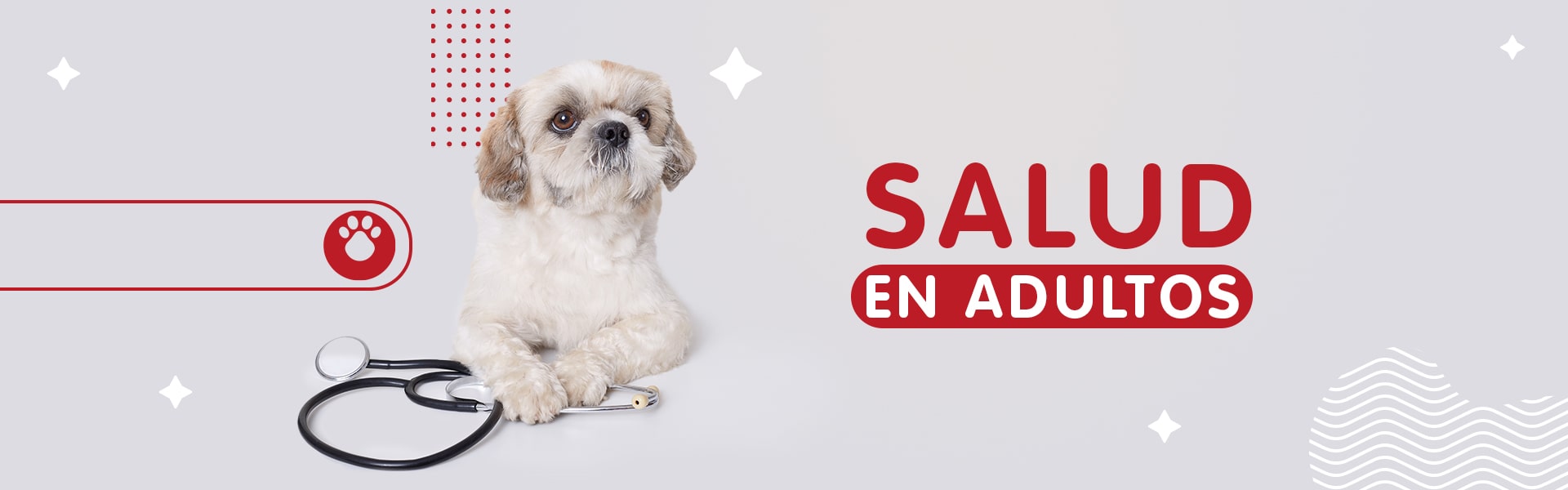 banner salud mundo adultos